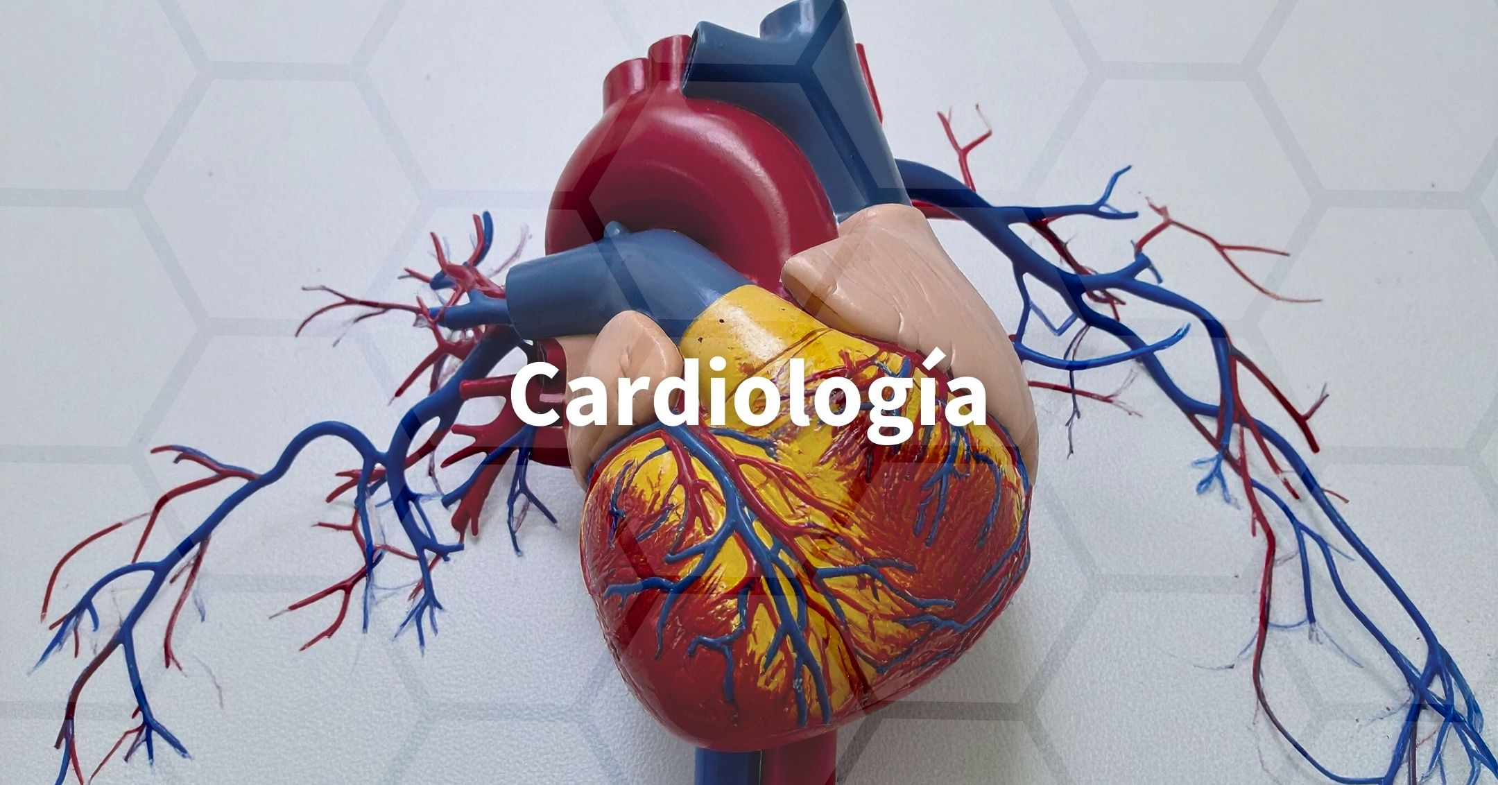 Cardiología