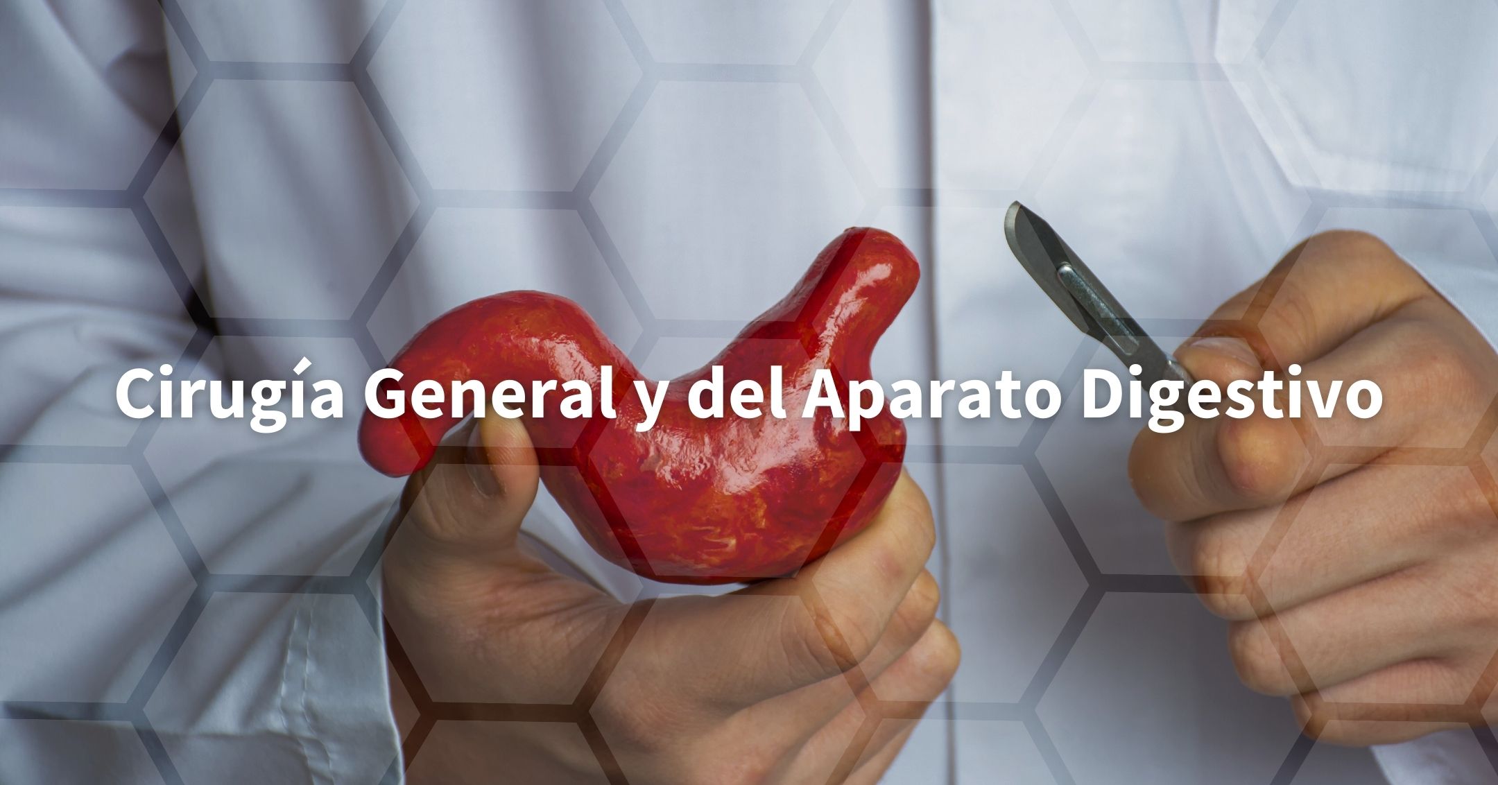 Cirugía general y aparato digestivo