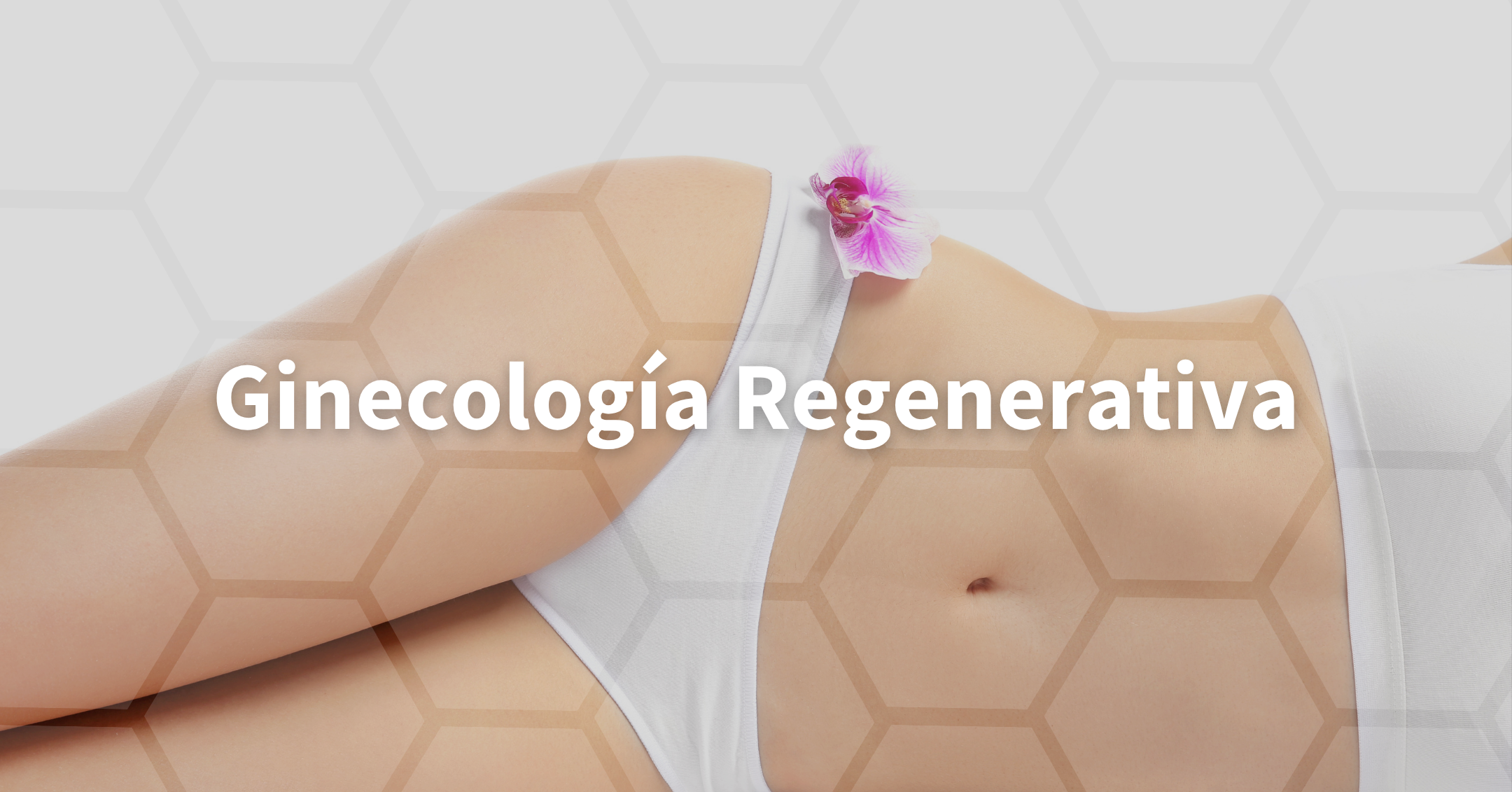 Ginecología Regenerativa